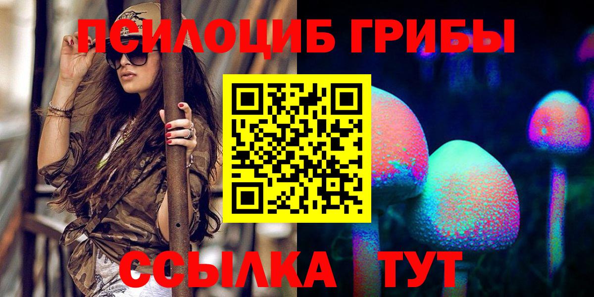 Галлюциногенные грибы GOLDEN TEACHER  Вход с VPN  Галлюциногенные грибы прущие грибы  Богородск 