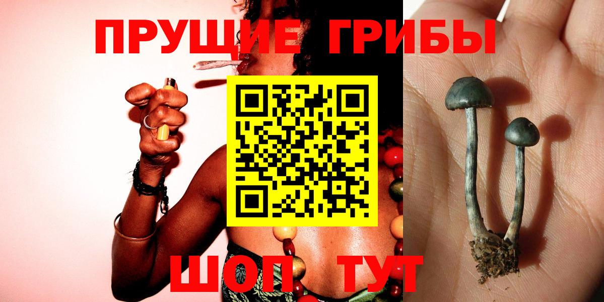 Псилоцибиновые грибы мухоморы Богородск